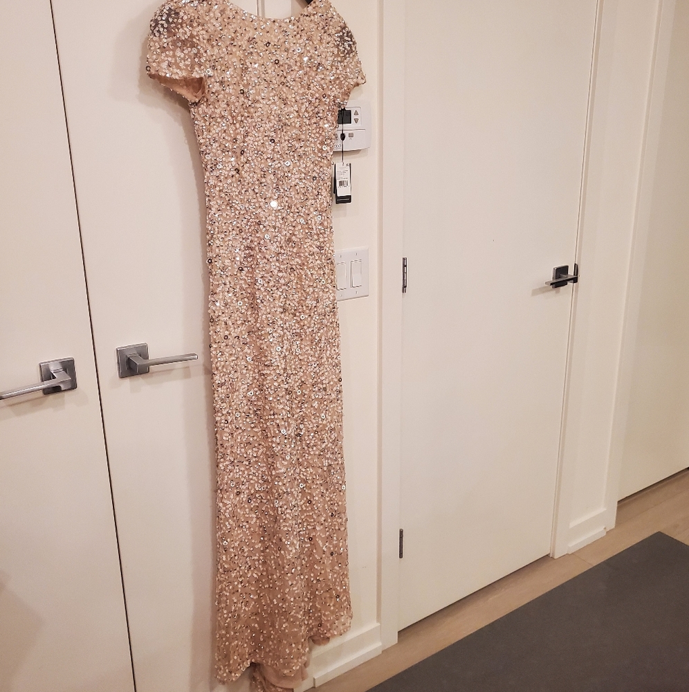 Brand New - Adrianna Papell Scoop Back Sequin Gown